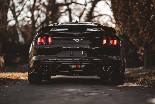 폴케리켓 카지노 안드로이드/iOS 앱